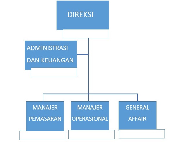 organisasi
